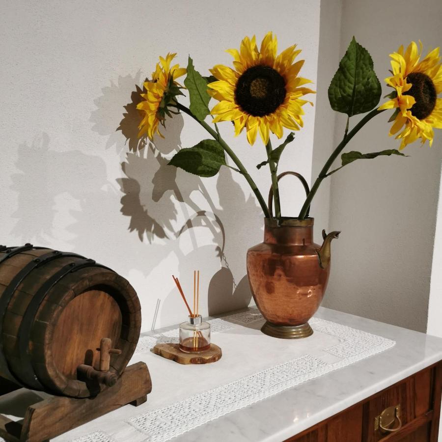 Otello Guest House Montalcino Luaran gambar